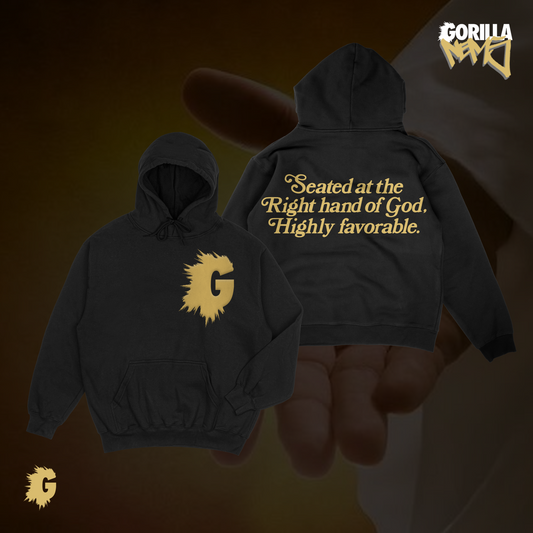 HIGHLY FAVORABLE QUOTABLE HOODY